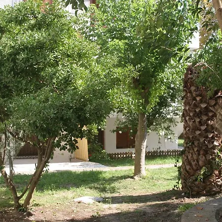Artemis Mezonettes פורקה